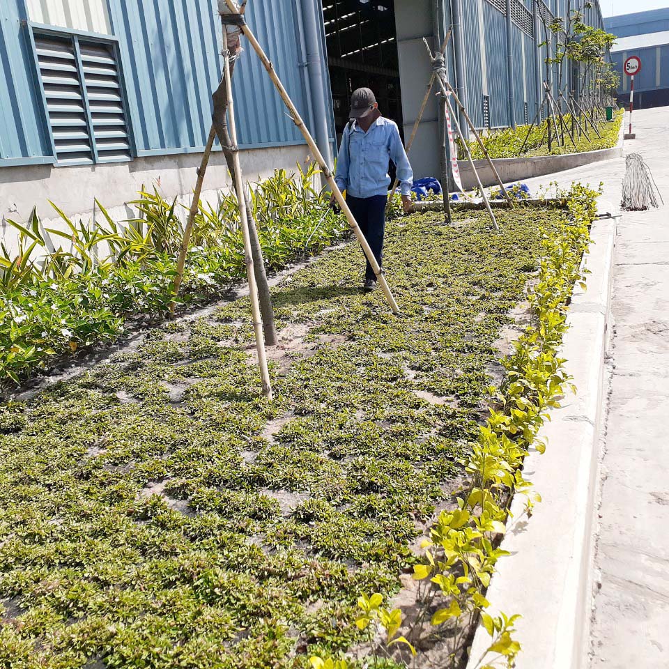 CÔNG TY TNHH DỊCH VỤ VÀ KỸ THUẬT PHÚ CƯỜNG